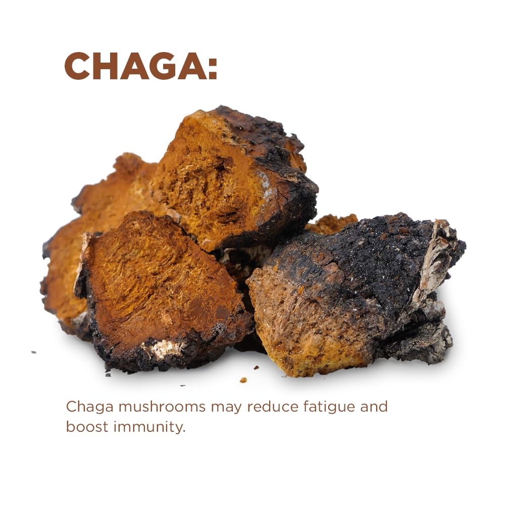 Terrasoul Superfoods Organic Cognitive Mushroom Coffee, 30 Servings, 14.29 Oz, Energize Your Morning and Boost Focus with Powerful Mushrooms, Compare to Ryze Mushroom Coffee - Image 6