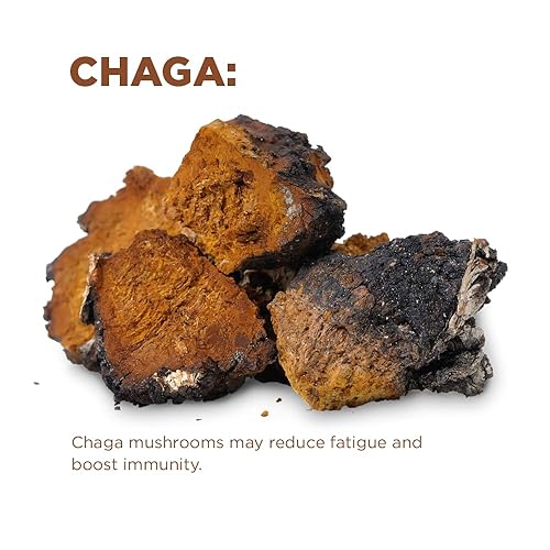 Miniatura 6 de Terrasoul Superfoods Café orgánico de hongos cognitivos, 30 porciones, 14.29 onzas, energiza tu mañana y aumenta la concentración con potentes