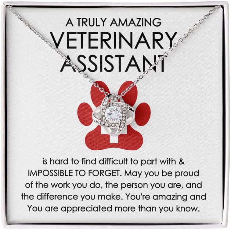 Veterinary Assistant Necklace Silver Plated Love Knot - Hard to Find Difficult to Part - Veterinarian Pet Lovers Paw Practitioner