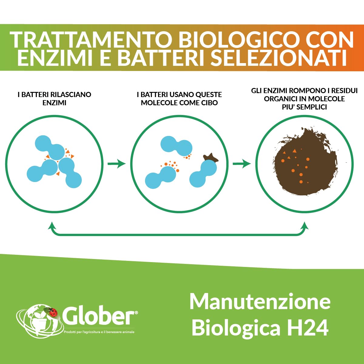 ECO-TRAP Septic Tank 1,5 Kg - Enzimi per Fosse Biologiche con Dosatore - Attivatore Fossa Biologica - Made in Italy - Pulizia e Manutenzione Circolare Fosse Settiche, Elimina Cattivi Odori e Ingorghi