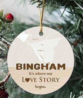 Bingham Ornament Christmas Map City Bingham ME It's Where Our Love Story Begins for Couple Bingham Ornament 3 inch Circle Plastic