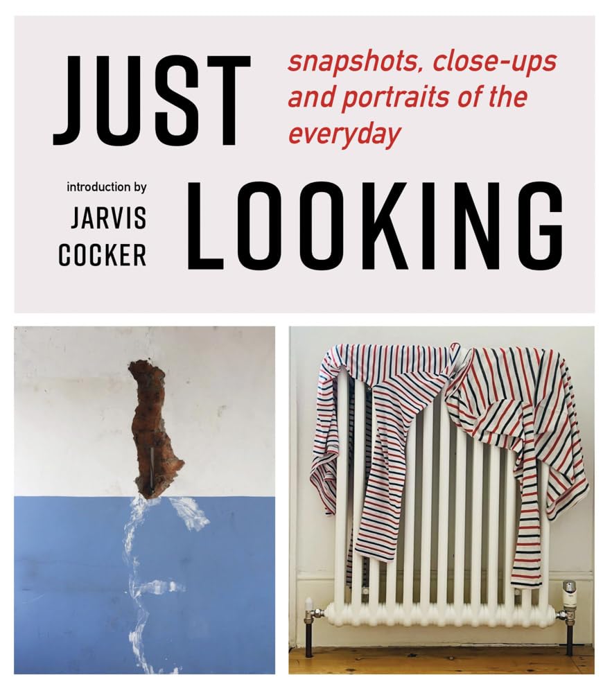 JUST LOOKING by Julian Rothenstein - 9781739597641