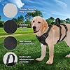 FEimaX Dog Harness No Pull Soft Padded Dog Vest with 3 Leash Clips and Easy Control Handle Reflective Adjustable No Choke Pet Harnesses for Medium and Large Dogs Training Walking (Black, Large)