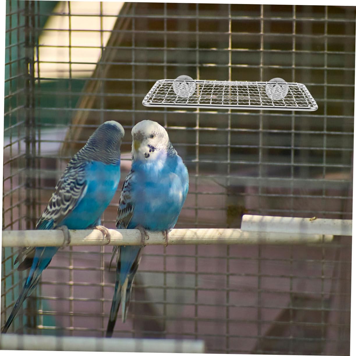 ORFOFE Parrot Stainless Steel Platform Bird Stands Playground Large Bird Cage Stand