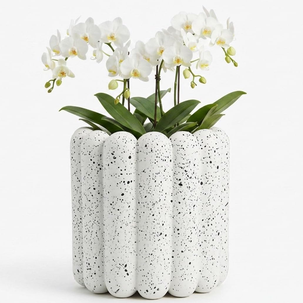 White Speckled Wavy Ceramic Planter Indoor or Outdoor Plant Pot Indoor Garden
