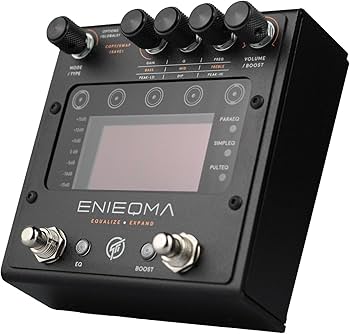 Amazon.com: GFI Systems Enieqma 10-Band Programmable EQ Platform