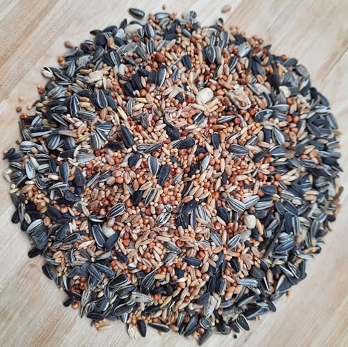 Futterhof Streufutter 25 kg Premium – hochwertige Mischung