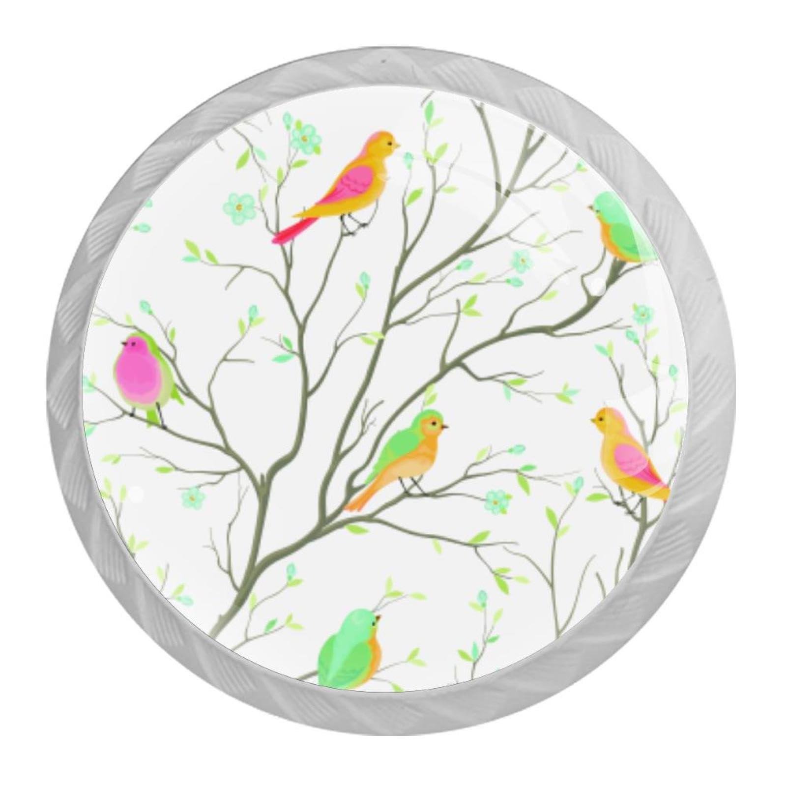 Tqmspg 4 Pieces Drawer Pulls Colorful Birds Door Knobs Dresser Handles for Kitchen Wardrobe Cupboard Hardware Furniture