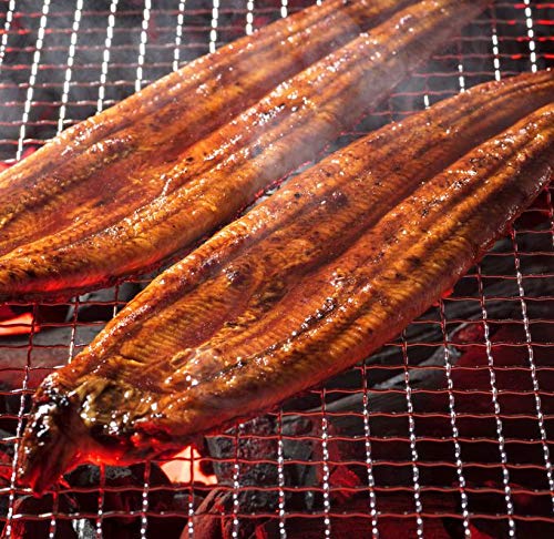 【おさかな問屋 魚奏】【超ビッグサイズ！！】特大うなぎ3尾入り1尾400g×3