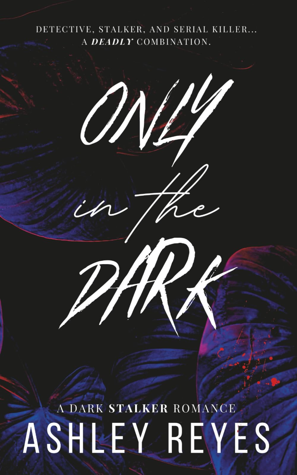 Only In The Dark: A Dark Stalker Romance (Bound By Darkness Duet)