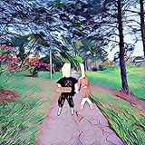 F.L.O.M(For Love or Money)