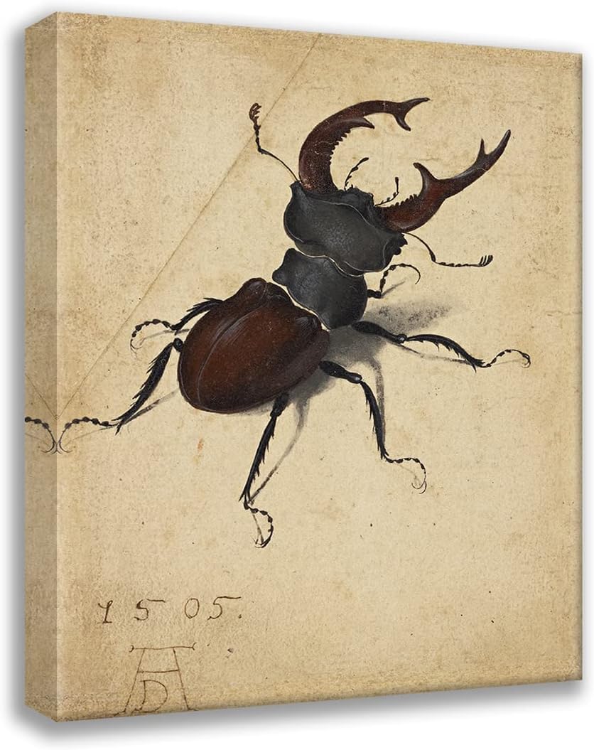 ArtDirect Stag Beetle (1505) 36x45 UnFramed Museum Art Print Poster Ready for Framing by Albrecht Dürer (German, 1471-1528)