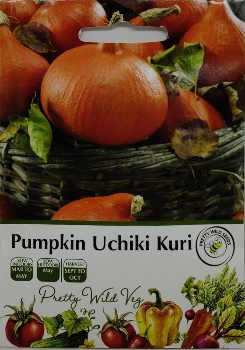 Cucumber Cucamelon Seeds in Pictorial Packet from a UK Seller Cute Fruits with Unique Crunch & Flavour — view 101