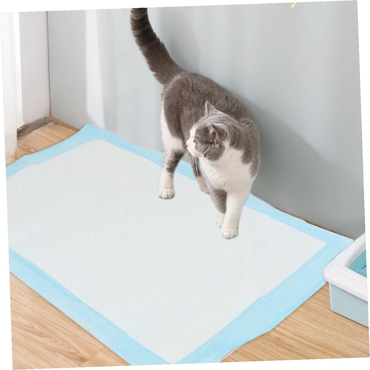 Toddmomy 50 Stück Einweg Haustier Trainingspads Welpen und Katzen Urinunterlagen 33x45cm Saugstark und Geruchsbindend für Stubenreinheitstraining bei Hunden und Katzen