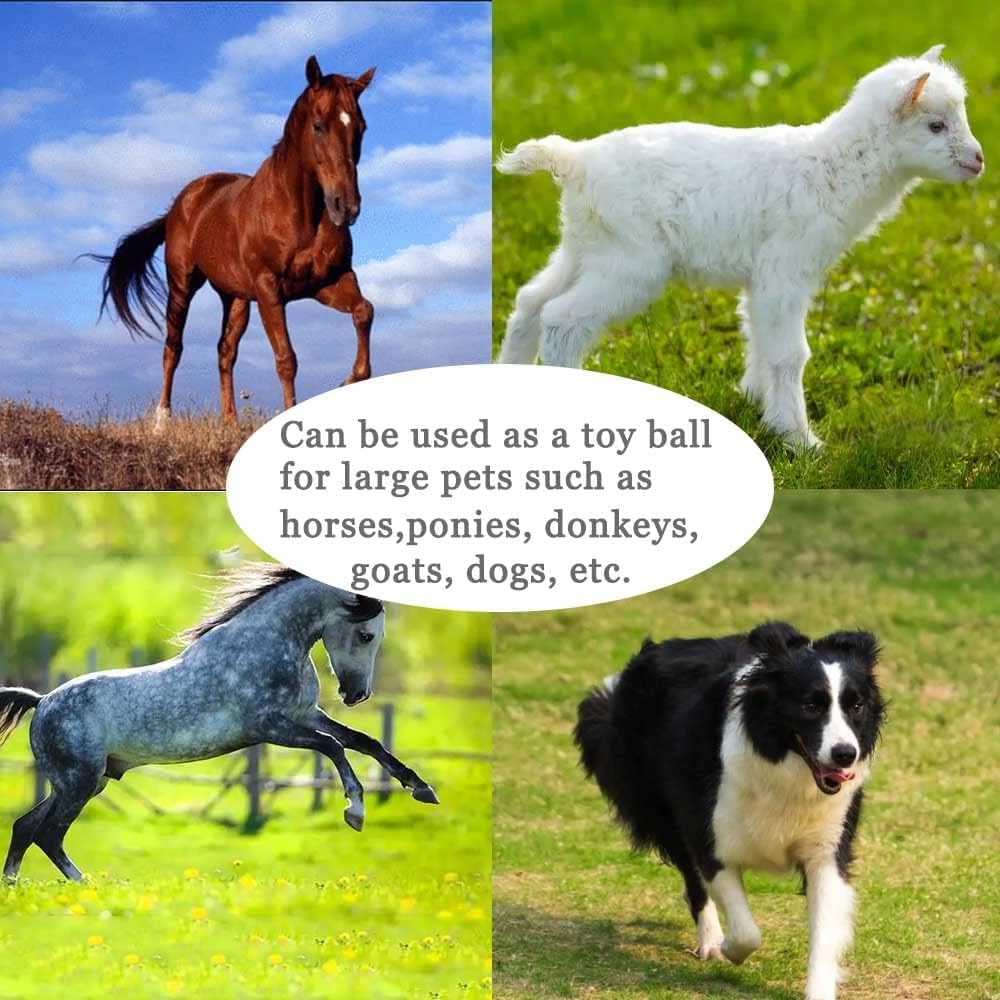 Giocattolo per allenamento a forma di palla di cavallo, anti-scoppio con pompa di gonfiaggio, per cavallo, agnello, capra, giocattolo di intrattenimento (55 cm, blu)