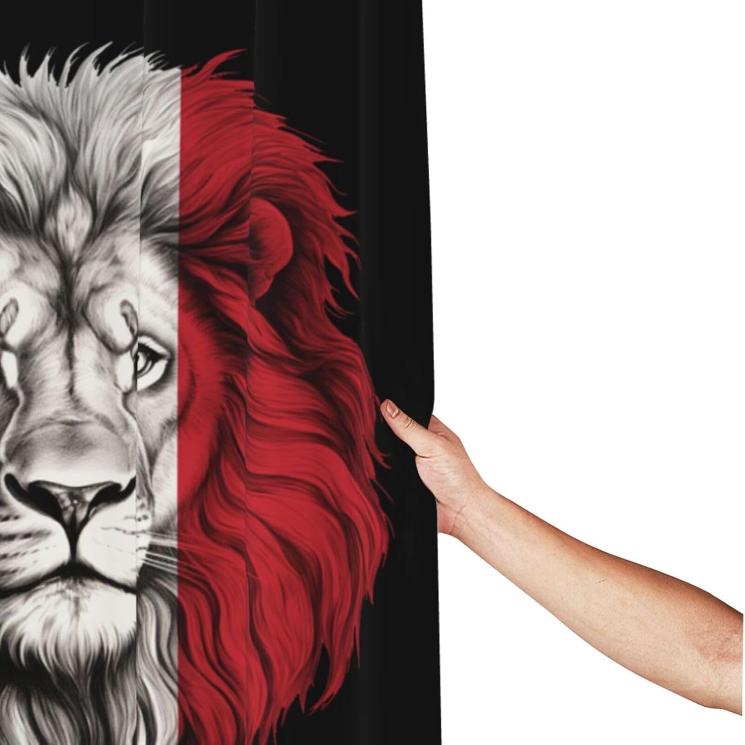 Shower Curtain Italy Italian Lion Flag Black Shower Curtain Sets Waterproof Bathroom Shower Curtain with 12 Hooks 60x72 Inch