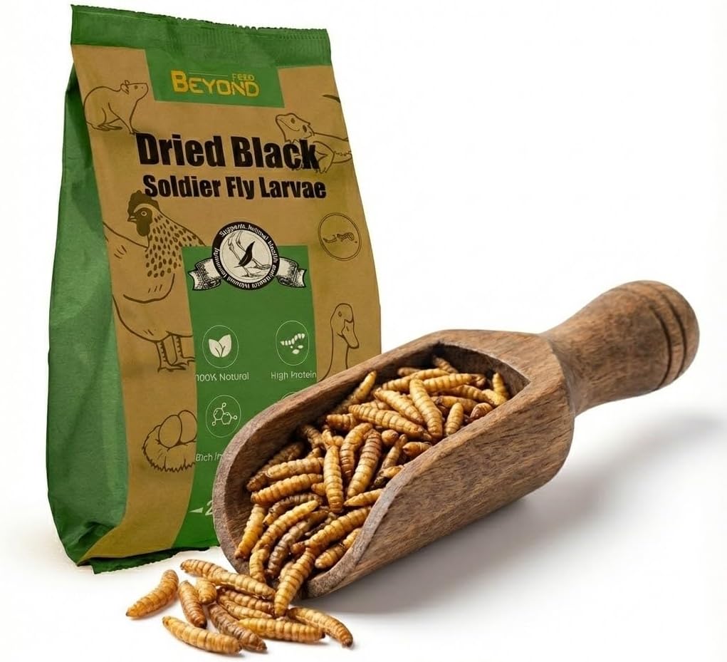 BeyondFeed™ Premium Dried Black Soldier Fly Larvae - High Calcium Supplement for Stronger Eggshells & Molting Recovery - Whole, Large Grubs (Superior to Mealworms) for Chickens, Ducks & Reptiles
