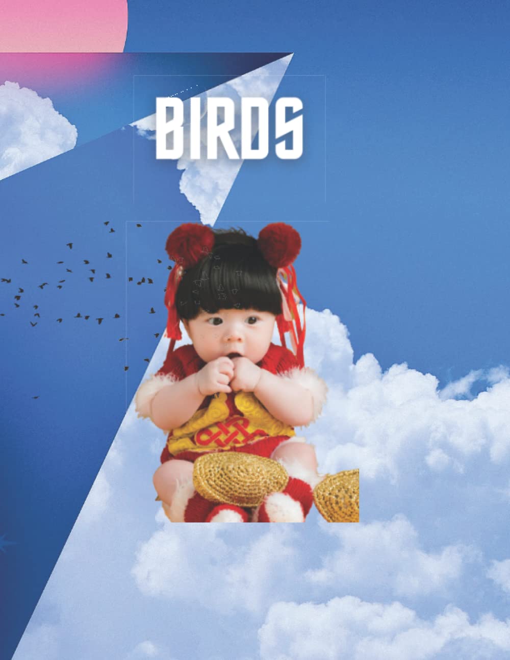 BIRDS: Give Color and Learn: KM's Coloring Book