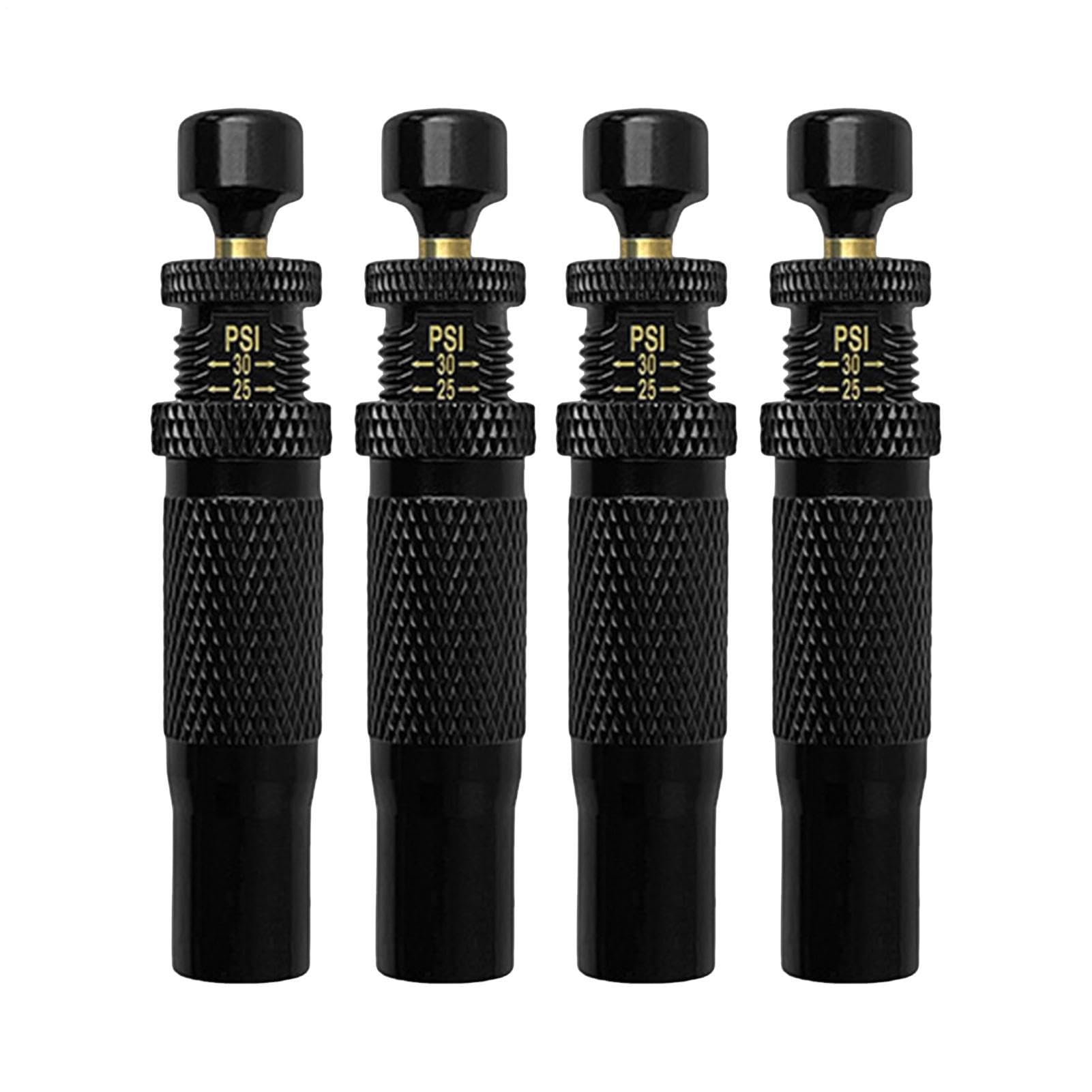 Déflecteur de pneus pour sable et 4 valves de déflation de voiture pour camping