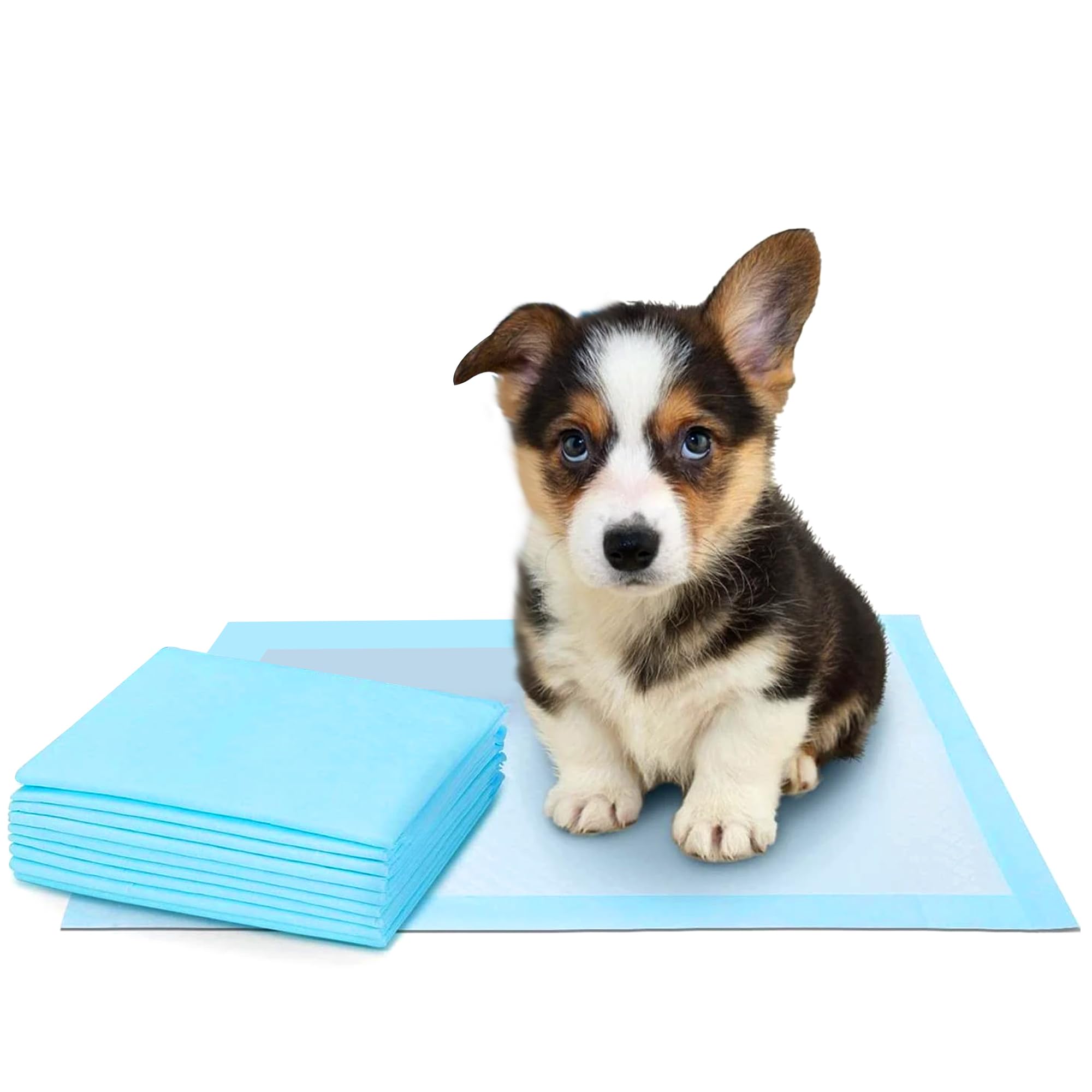 DUGYLUV Leak-Proof Pee Pads for dogs (50 Pieces), Disposable Training Pads For Pets with 5 Layers Absorbent, Puppy Pads For Potty Training For Pets 45X60cm ,Pack of 50