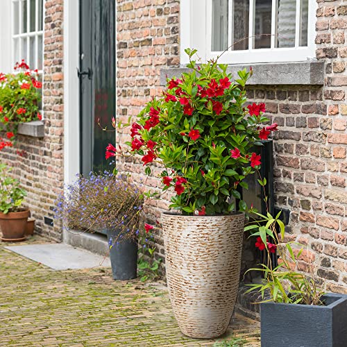 The 14 Best Worth Planters of 2023 [Verified] Cherry Picks