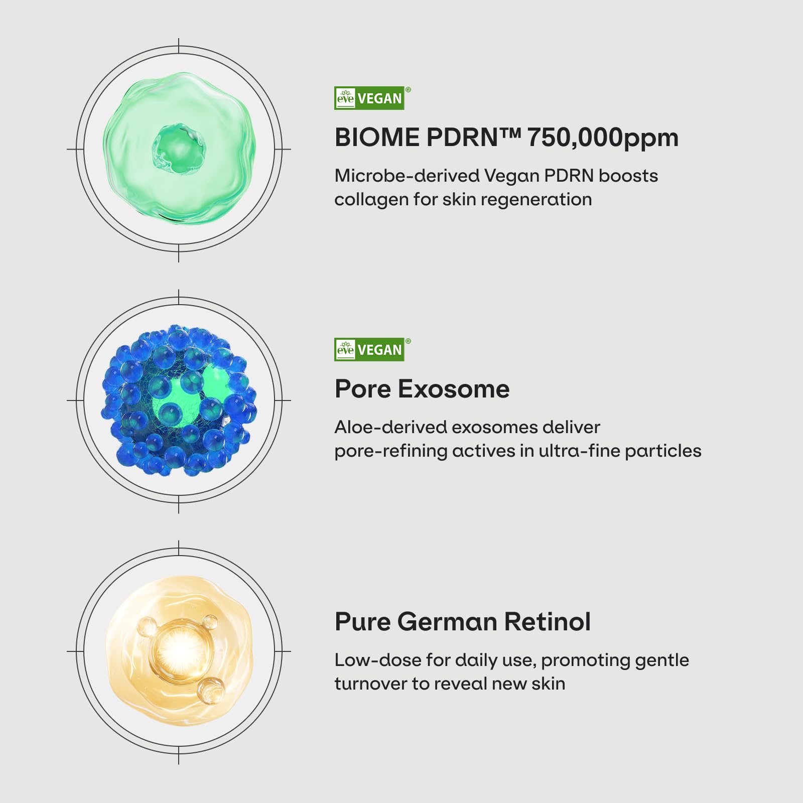 Amazon.com: Dr.nineteen PoreXsome ReDRN Exosome AmpouleㅣBiome