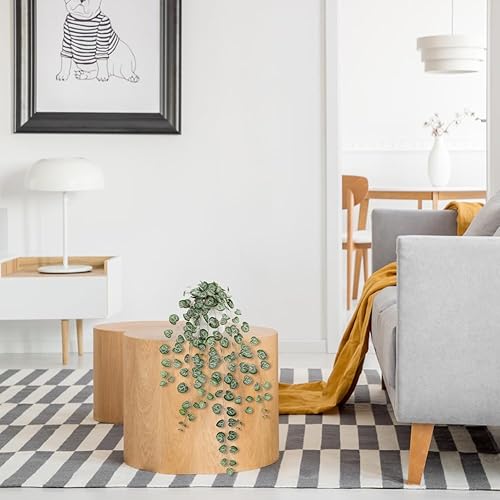 Miniatura 3 de Briful Plantas falsas en maceta de 20 pulgadas, cadena artificial de vides de corazón, plantas suculentas largas drapeadas para el hogar, oficina,