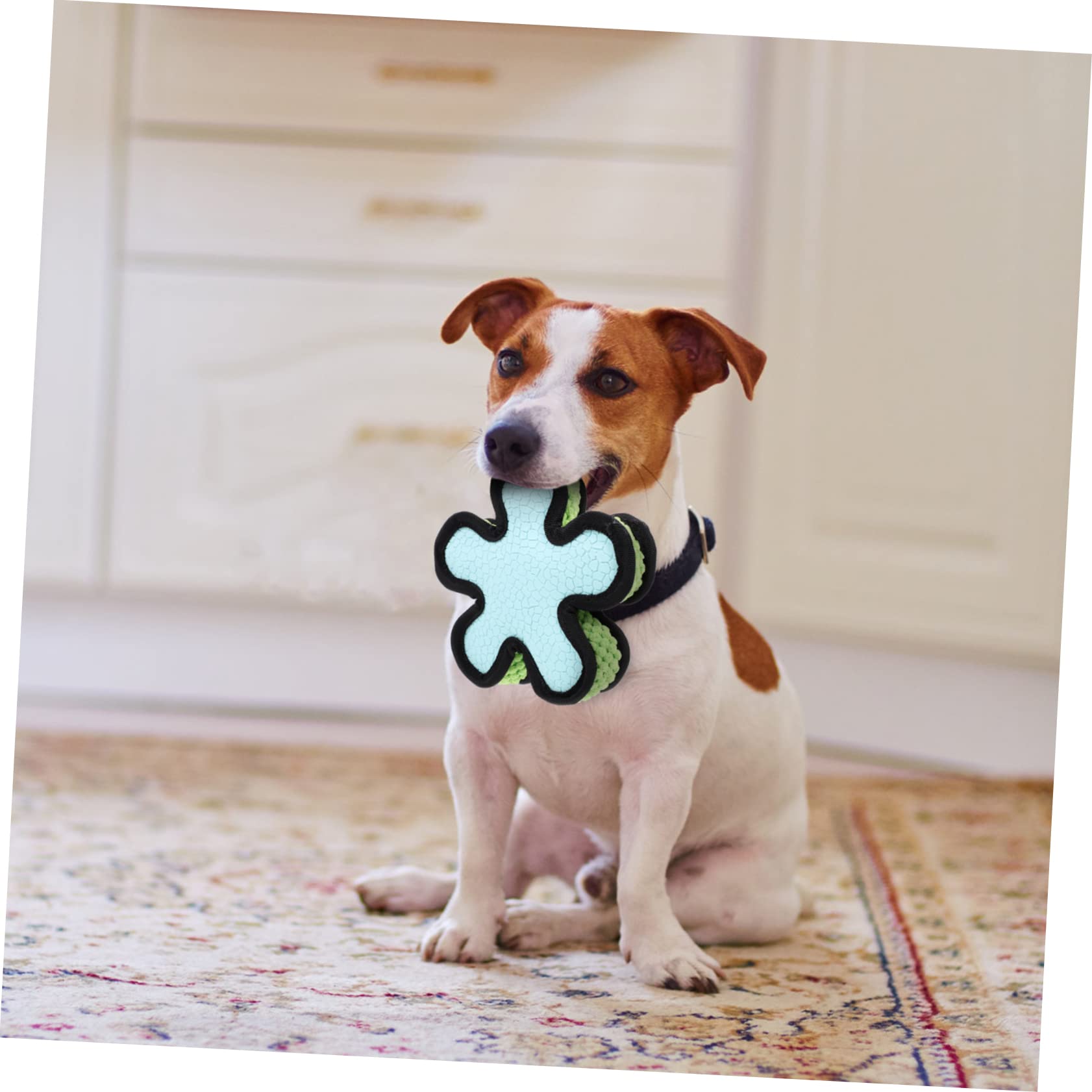 SUPVOX 3piezas Juguete De Molar para Perros Pelota De Sonido Interactiva para Cachorros para Jugar Casa y Mantener La Salud