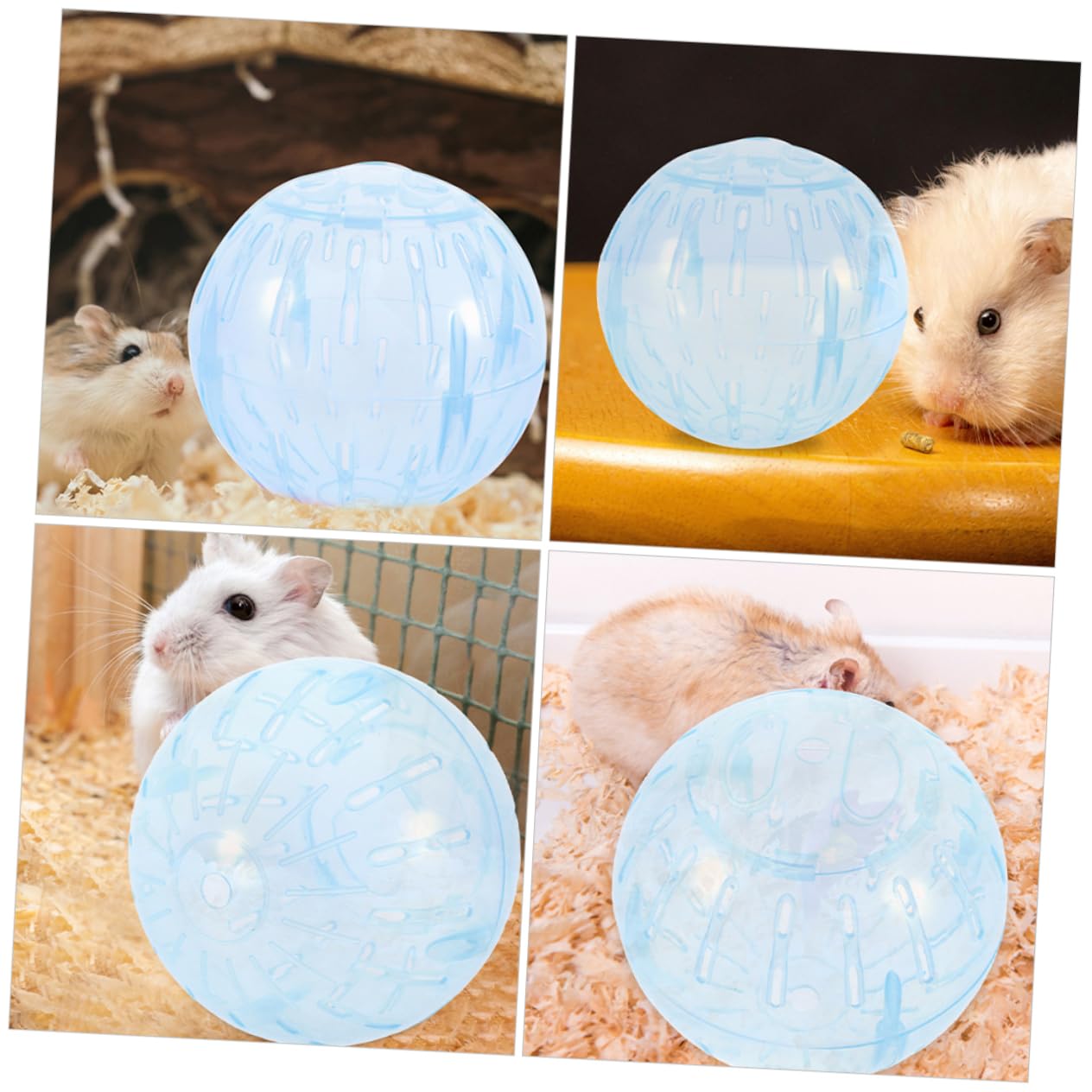 INOOMP 5stücke Funny Hamster Transparente Laufkugel Mit Belüftungsöffnungen Für Kleintiere Sicheres Und Langlebiges Spielzeug Für Hamster Chinchillas Und Ratten Fördert Gesunde