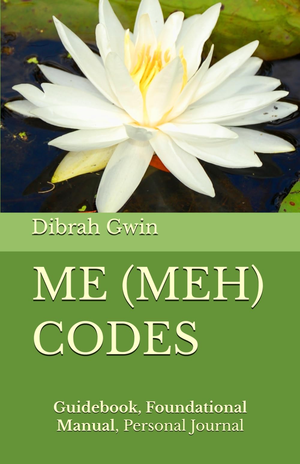 ME (MEH) CODES: Guidebook, Foundational Manual, Personal Journal