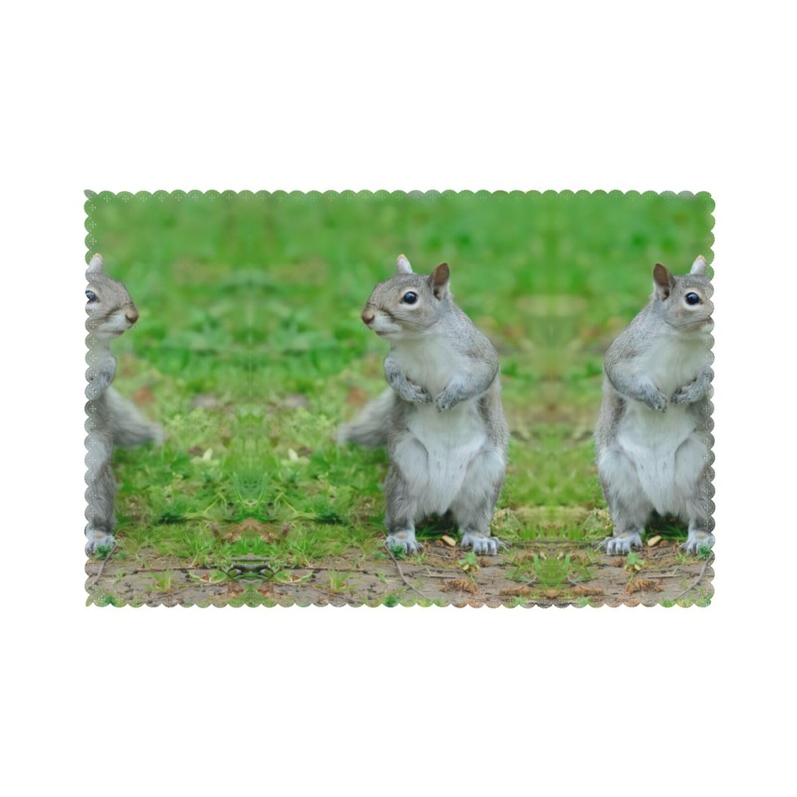WHJSSF Squirrel Prints Placemats Set of 6 12x18in - Durable Table Layers with Heat-Resistant & Wrinkle-Free Polyester