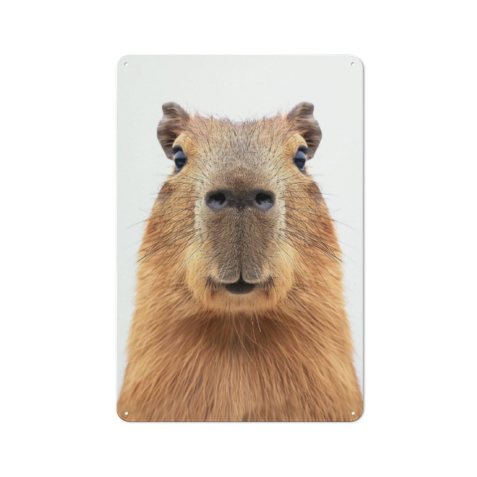 Junmoney Style-1 Rustic Tin Sign 30X20cm Featuring Capybara Face For Living Room Wall, For Room Styling Across Living Rooms And Feature Walls