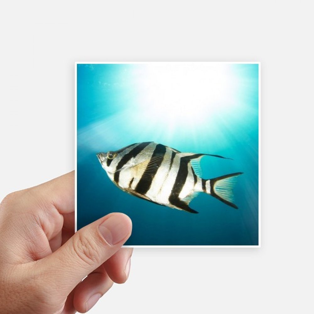 Autocollant poisson de mer pour masquer les rayures de valise et pc portable proprement