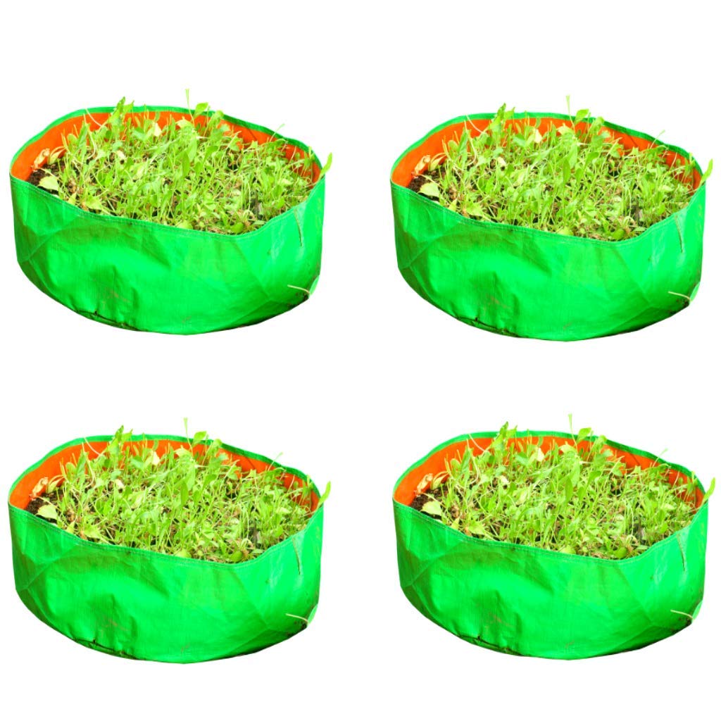 GML Terrance Gardening Spinach Leafy Vegetable Grow Bag (18 x 9 inch, 4 Pieces) (B09MCVLKSK) Amazon Price History, Amazon Price Tracker