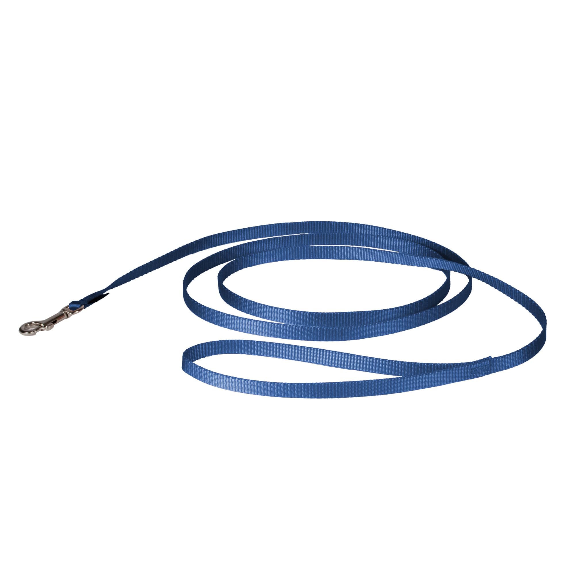 Nylon Leash - Strong Dog Leash for Everyday Use - Secure & Simple Design for Reliable Control - Lightweight with Durable Hardware - 3/8 Inch - 6 Feet - Blue