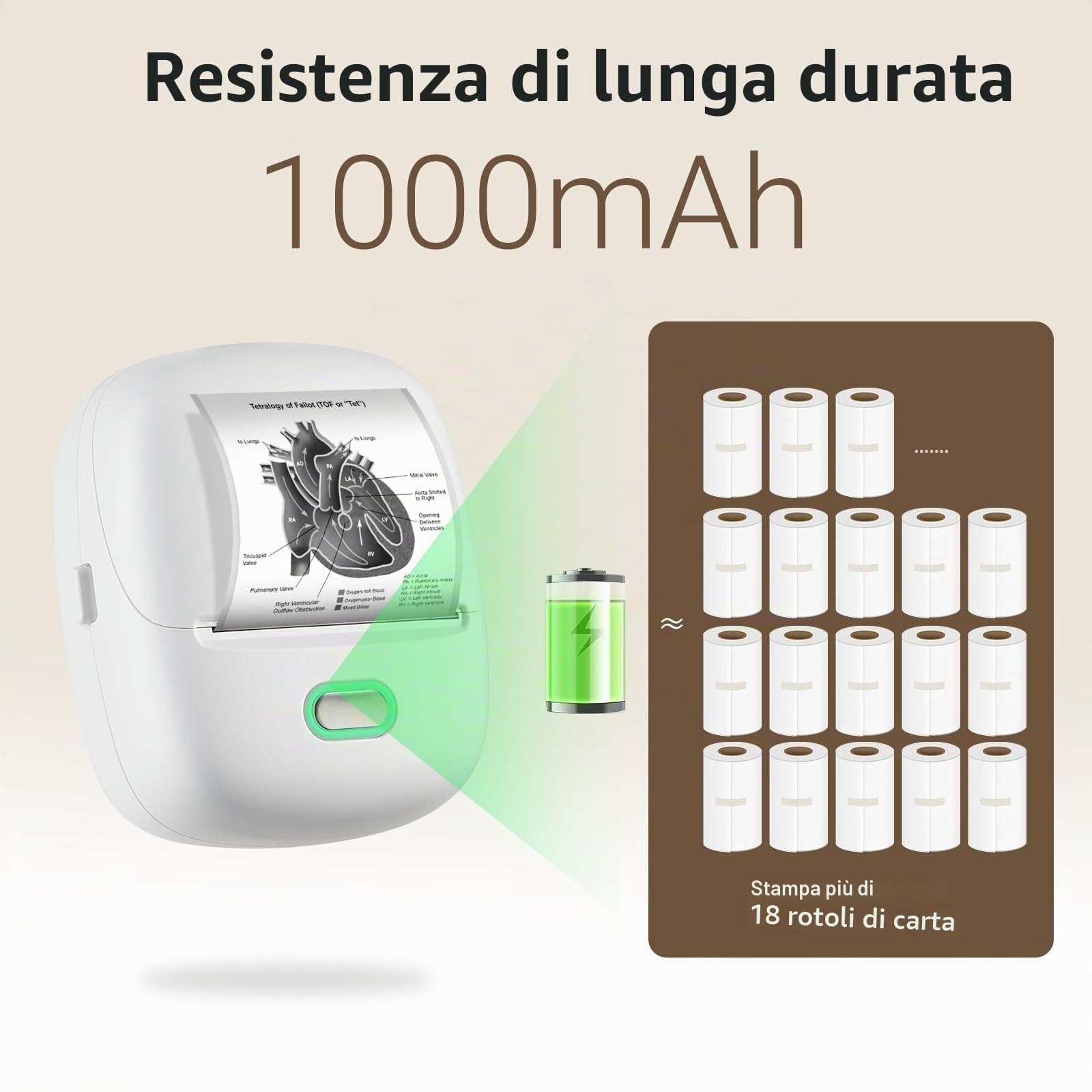 ORGSTA S002 Etichettatrice Bluetooth Portatile Stampante Etichette 300 Dpi Compatibile iOS Android