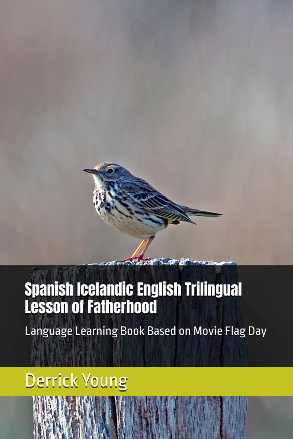 Spanish Icelandic English Trilingual Lesson of Fatherhood: Language Learning Book Based on Movie Flag Day