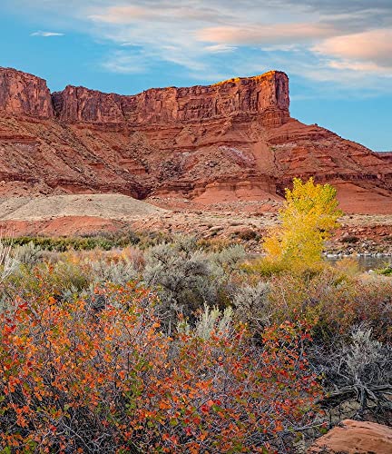 AFFICHE sur TOILE signée Tim Fitzharris paysage Utah haut de gamme