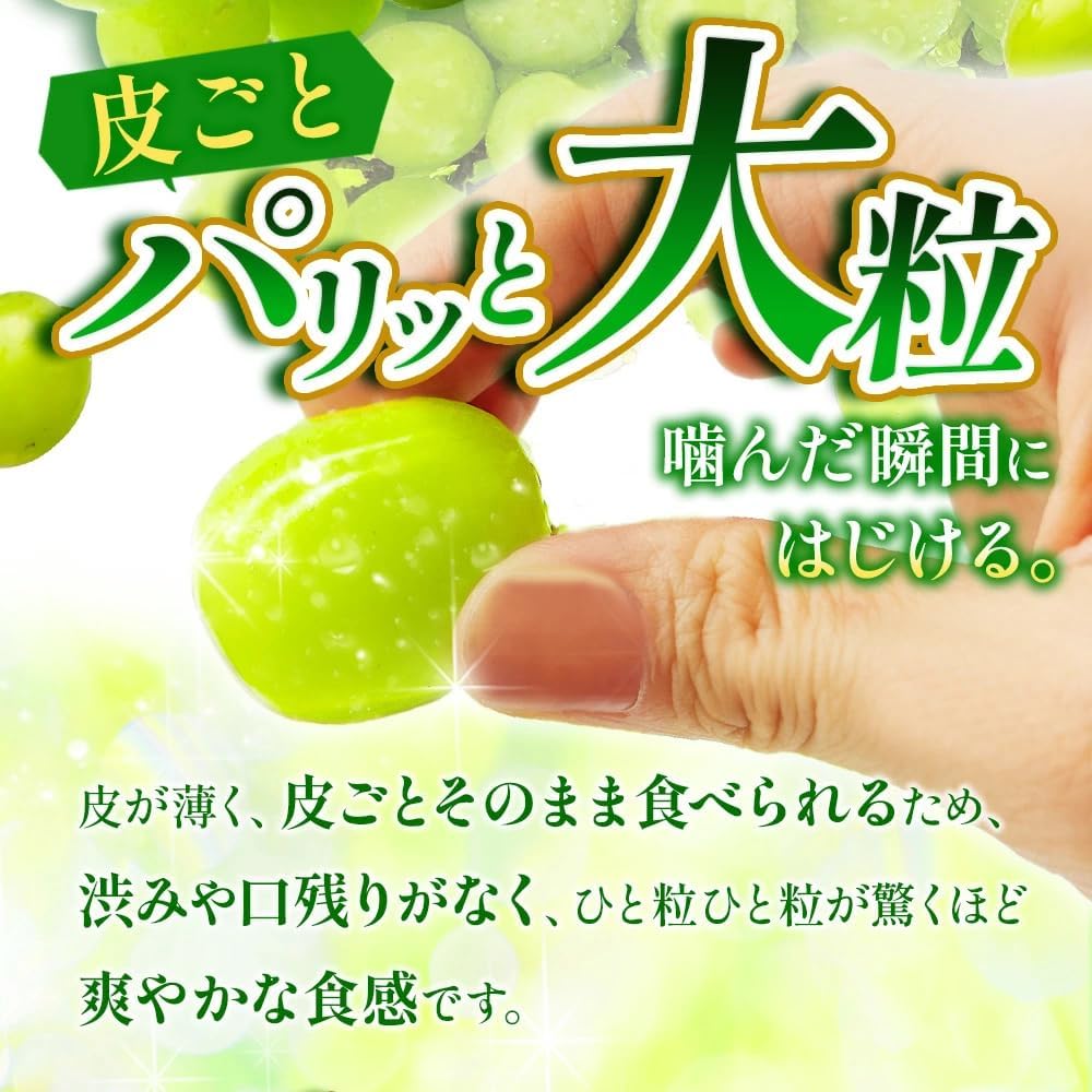 Amazon.co.jp: 【Amazon.co.jp限定】【2027年収穫分先行予約】さん