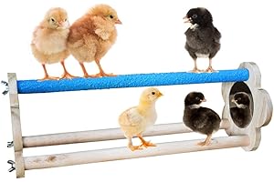 Comfy Chick Perch: The Cozy Haven for Your Little Birds