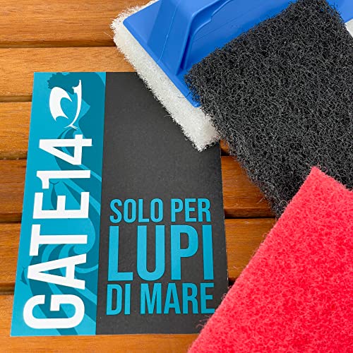 GATE14® Spazzola con 3 Spugne Abrasive