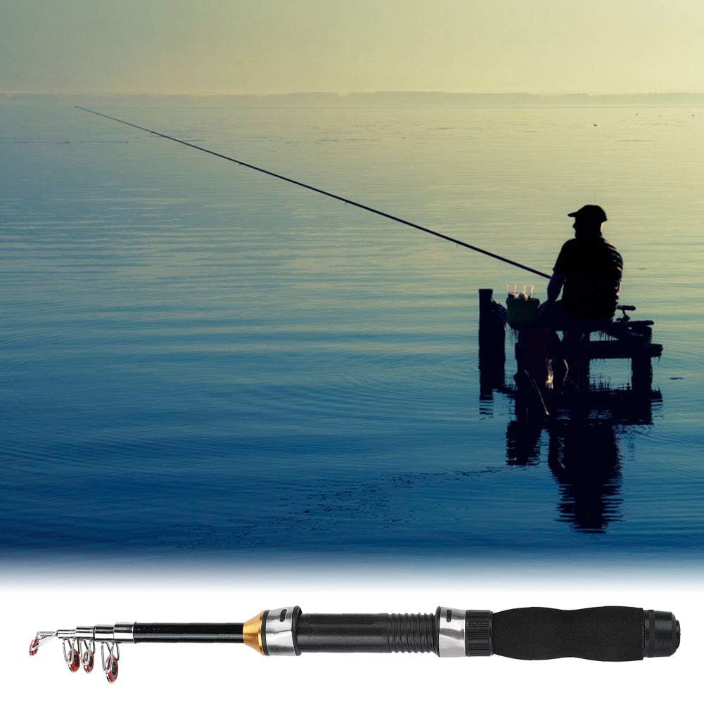 Teleskopowa Wędka Przenośna Mini Kieszonkowa Pen Rod Ice Fishing Sea Fishing Tools 28049-100, Chowana dla Początkujących i Wędkarzy (1,2 M)(1M)