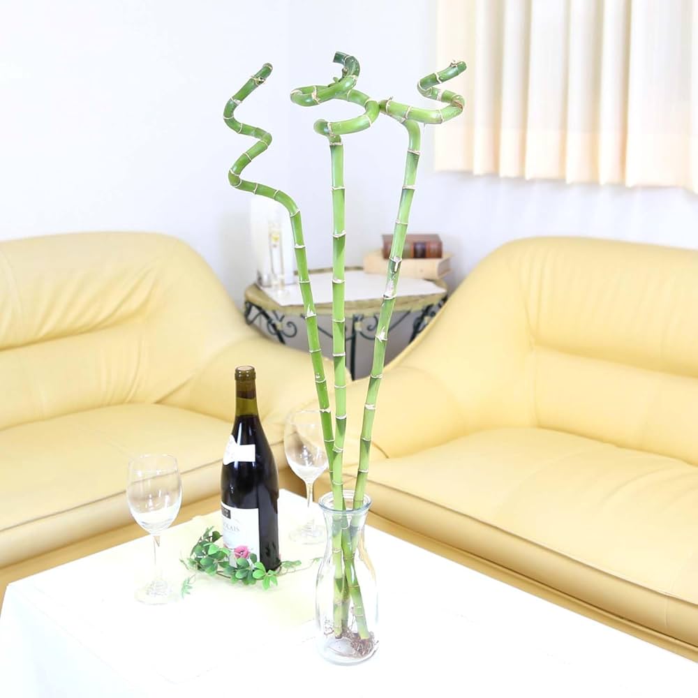 【竹製】 ヴァガボンド　ミリオンフィッシュバンブー　5'0\" ライトアクション 竹】 ヴァガボンド ミリオンフィッシュバンブー 5'0