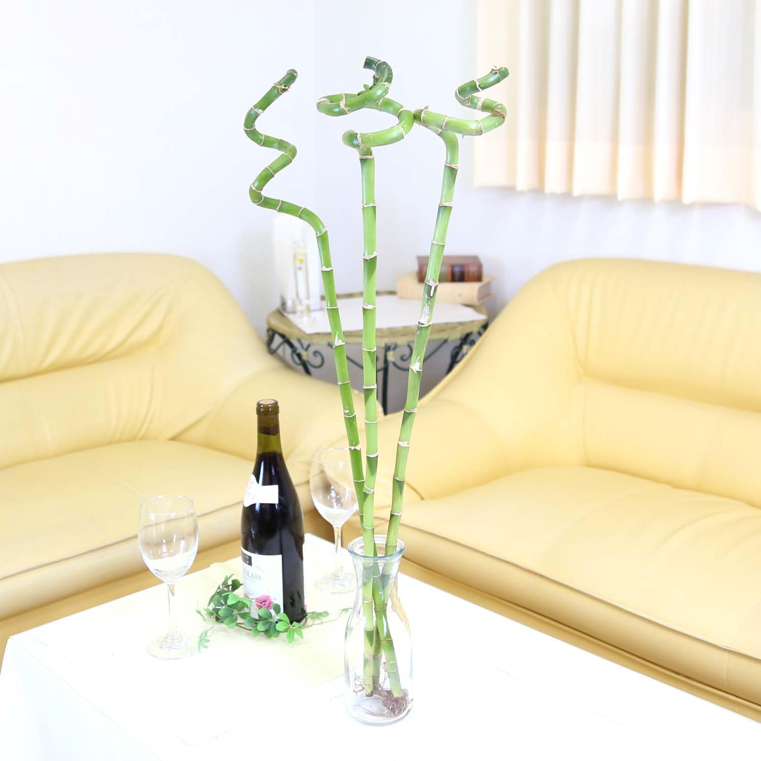 Amazon｜【ブルーミングスケープ】土を使わない観葉植物 開運竹
