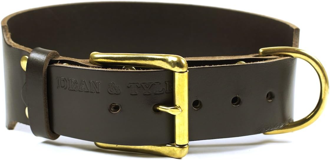 Dean & Tyler "B and B" Brown Basic Leather Dog Collar with Solid Brass Hardware, Size 20-Inch by 2-1/4-Inch, Fits Neck 18-Inch to 22-Inch