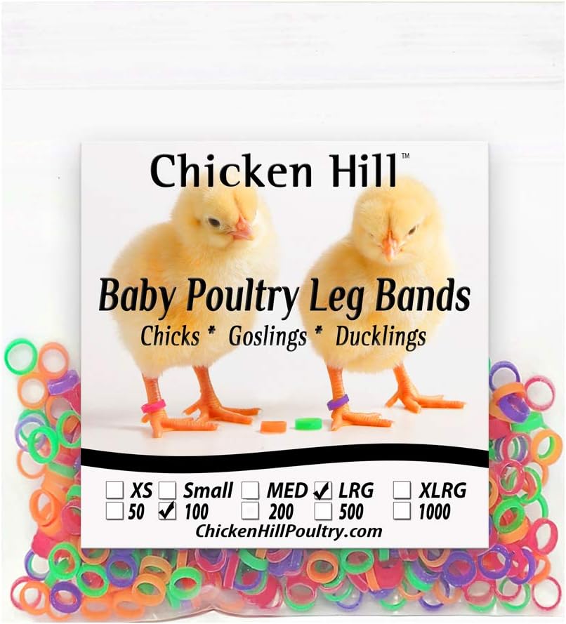 100 Baby Poultry Leg Bands 5/16" Large Size 5 Chick (100)