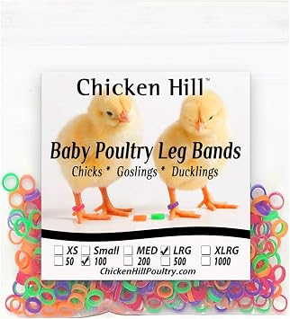 100 Baby Poultry Leg Bands 5/16" Large Size 5 Chick 100