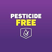 Vista 6 de Ortho Home Defense Max - Control de insectos para cama de tres pasos con trampa para insectos