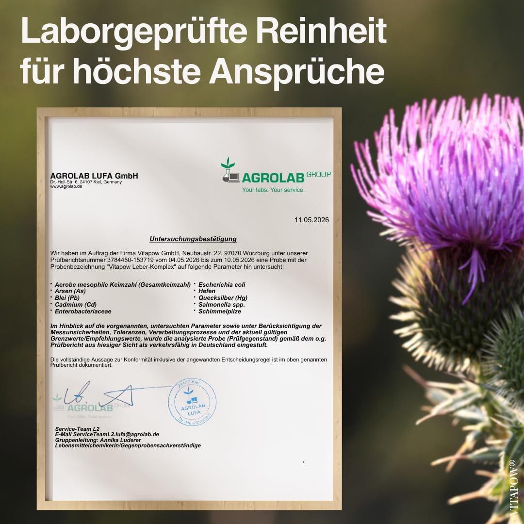 Leber Komplex als Trinkpulver mit Mariendistel Artischocke Löwenzahn Cholin Inositol - ohne Zuckerzusatz, vegan, in Deutschland hergestellt - Apfel-Zitronen-Geschmack - 60 Portionen für 2 Monate