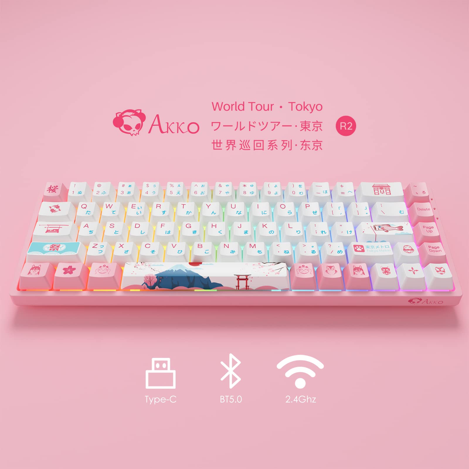 Amazon.com: Akko World Tour Tokyo R2 65% 68-Key RGB Hot-swappable